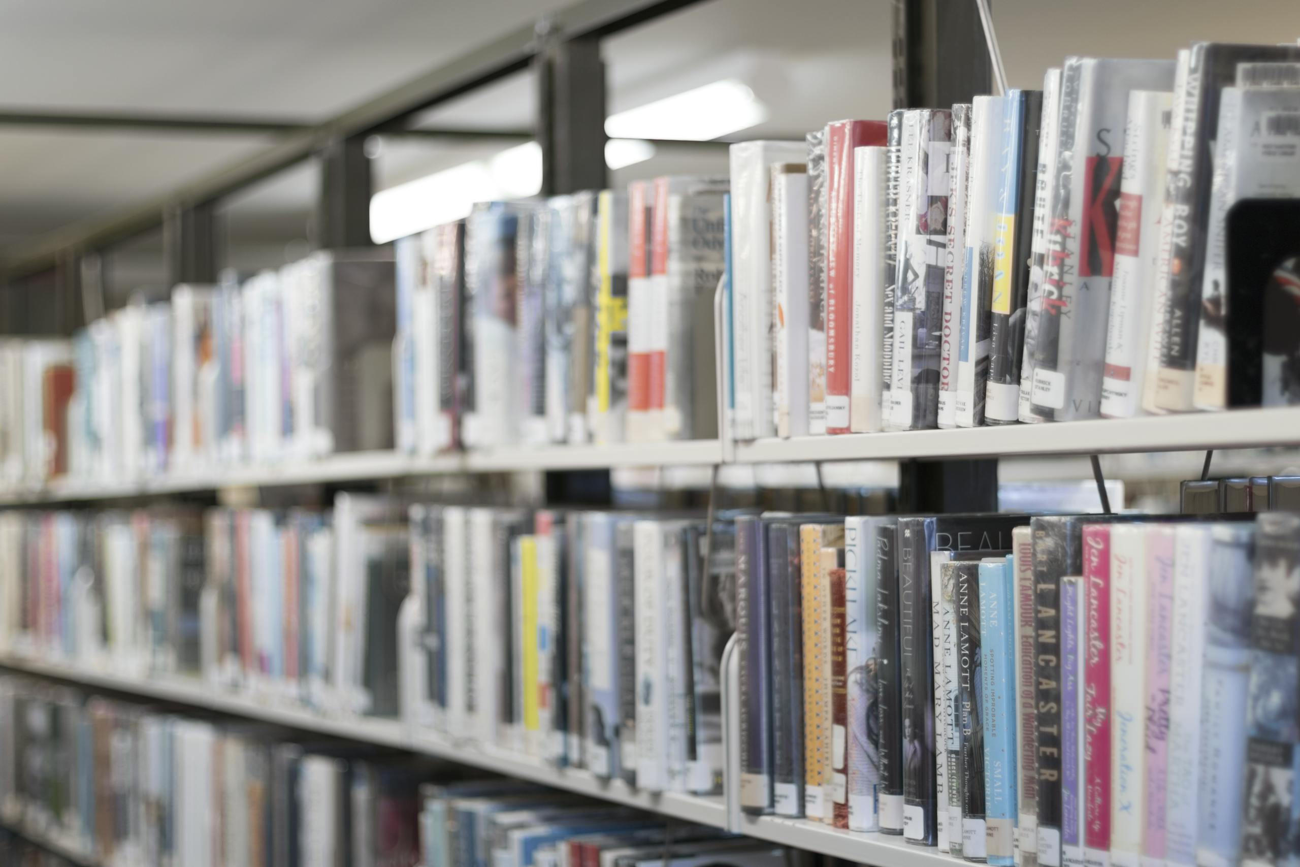 why public libraries are so important